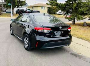 Toyota Corolla Apex d'occasion - Product Image 3