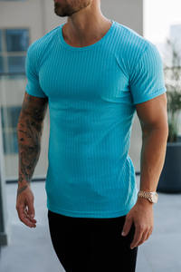 Nuevo diseño clásico menta acanalado punto Super Slim cuello redondo hombres camisetas transpirable personalizado algodón gimnasio ropa activa camiseta para hombres - Product Image 3