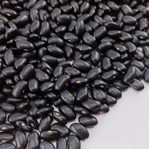 ซื้อถั่วดำไตระดับพรีเมี่ยมสำหรับอาหาร25กก. แบบแปรรูปโดยใช้วัตถุดิบเกรดอาหาร - Product Image 3