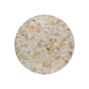 Sets de table modernes en nacre pour les acheteurs en gros, décoration de table naturelle avec des prix compétitifs en provenance du Vietnam - Product Image 1