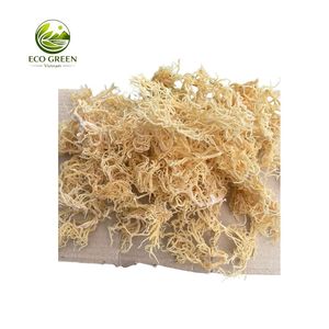 Musgo Irlandés Dorado de Alta Calidad, Cottonii, Musgo Marino Silvestre Seco para Gel - Product Image 4