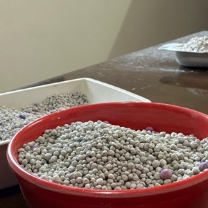 Litière pour chat bentonite agglomérante parfumée d'Inde | Granules à haute absorption, bloquant les odeurs et faciles à nettoyer - Product Image 6