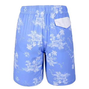 Pantalones cortos deportivos ligeros para hombre, los más vendidos, pantalones cortos de gimnasio de secado rápido, pantalones cortos casuales de alta calidad para hombre, para venta en línea. - Product Image 3