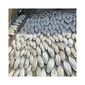 กระดูกปลาหมึกแห้งธรรมชาติ ขายส่งจำนวนมาก ส่งออกสำหรับนกแก้ว สัตว์เลี้ยง แคลเซียม ราคาแข่งขัน ข้อเสนอส่งออก - Product Image 4