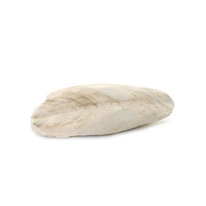 Os de seiche congelés pour les taux d'entretien du bec offerts - Product Image 1