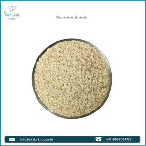 Semillas de Sésamo Blanco Orgánicas Crudas y Descascarilladas para Panadería, Snacks y Procesamiento de Alimentos - Product Image 3
