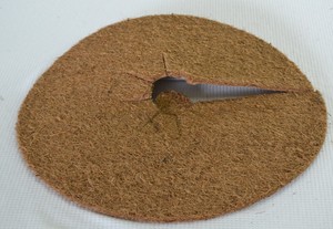 Arava Coco Weed Mat Disque de coco naturel Géotextiles tissés Certifié OMRI Contrôle des mauvaises herbes Utilisation en extérieur - Product Image 3