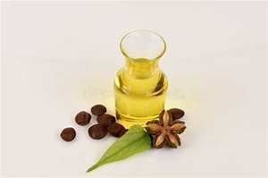 ACEITE DE SACHA INCHI PREMIUM A BASE DE PLANTAS FUENTE NATURAL PURA PRENSADA EN FRÍO DE ÁCIDOS GRASOS OMEGA PARA UNA VIDA LIMPIA Y DEFENSA INMUNE - Product Image 4