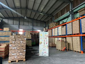 น้ำหมักเนื้อ cholimex 200กรัมซอสปรุงรสเวียดนามแท้สำหรับไก่เนื้อหมูเนื้อวัว - Product Image 6