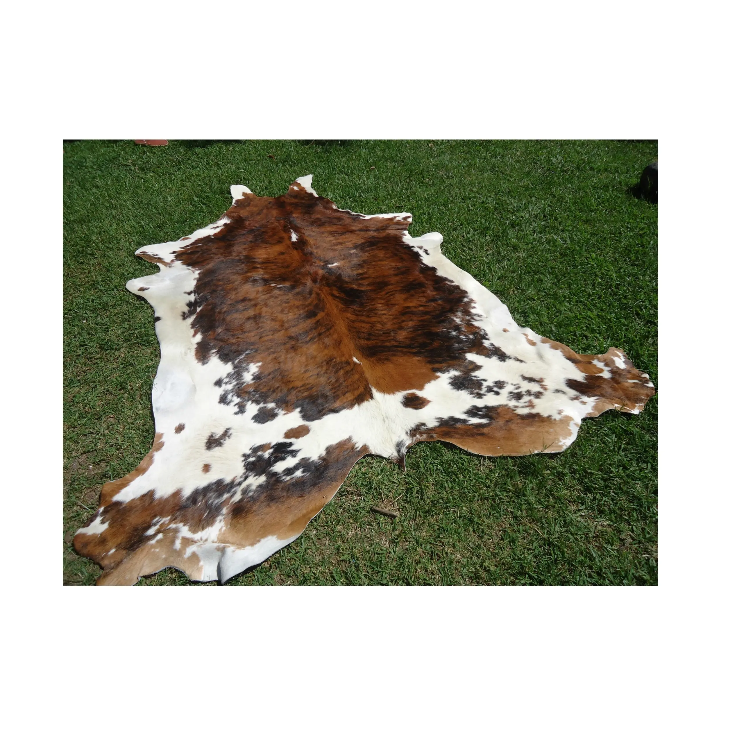 Hot Selling Price Of Dry And Wet Salted Cow Hides / Skins / Animal Cattle Hides in Bulk Stock For Delivery