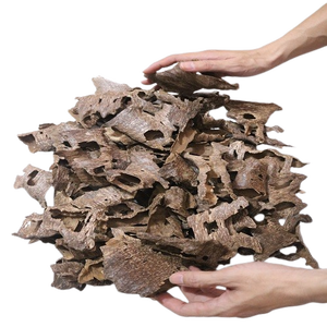 Découvrez les propriétés concentrantes de l'Oud pur. - Product Image 3