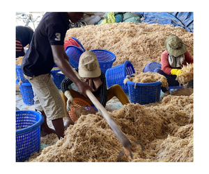 ผ้าฝ้ายแห้งมอสทะเลซุปเปอร์ฟู้ดธรรมชาติแบบวีแกนธรรมชาติบริสุทธิ์บริสุทธิ์ปราศจากกลูเตนปราศจากจีเอ็มโอจากเวียดนาม - Product Image 4