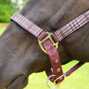 Collar protector para caballos, halter grueso para equitación, el mejor fabricante de halteres para caballos de Alexandria Industries - Product Image 3