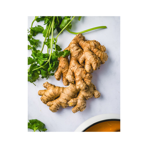 Fresh ginger offered in commercial quantities for foodservice and grocery chains - Product Image 3