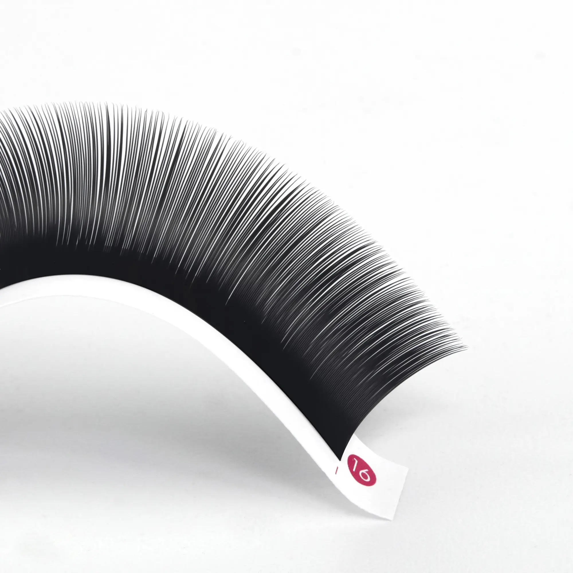 High quality Korean PBT fiber extensions volume trays easy fan eyelash extention easy fan false eyelashes wholesale OEM ODM