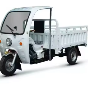 Motocicleta Triciclo de Tres Ruedas Fabricada en Fábrica, Disponible en Stock, 200 cc - Product Image 1