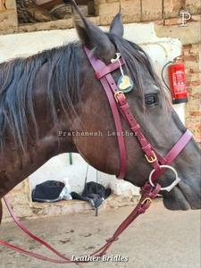 Brida de caballo de cuero personalizado Estilos ingleses occidentales personalizados Brida de equitación de cuero genuino Proveedor al por mayor tendencia 2025 - Product Image 4