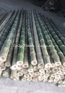 La Fábrica Produce Estacas de Bambú para Tomates, Soporte para Plantas de Jardín, Poste de Bambú Recto, Venta de Postes de Bambú Grandes - Product Image 3