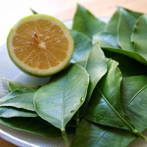 ใบมะนาวแช่แข็งธรรมชาติ/เกรดพรีเมี่ยม/พร้อมใช้งาน/บรรจุภัณฑ์จำนวนมาก/มาตรฐานการส่งออก - Product Image 3