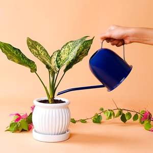 กระถางน้ำโลหะดีไซน์หรู ออกแบบมาเพื่อการไหลของน้ำที่แม่นยำ เหมาะสำหรับปลูกต้นไม้ในร่ม ระเบียง และสวนลานบ้าน - Product Image 3