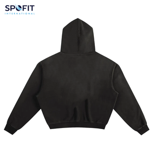 Sweats à capuche personnalisés pour hommes Fabricants de vêtements Coton mélangé 420 500 600 GSM Sweat à capuche épais court graphique Boxy Sun Fade - Product Image 2