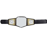 Ceinture de lutte en cuir/métal personnalisable OEM, durable, prix de gros, haute qualité, légère, nouvelle arrivée, best-seller, unisexe