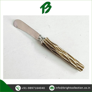 Esparcidor de queso y mantequilla con mango de resina, la mejor compra a granel, calidad maravillosa, uso único en hoteles y restaurantes, diseño personalizado - Product Image 2