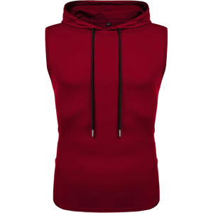 Sudadera sin Mangas de Alta Calidad para Hombre, 100% Algodón, Primavera, Ecológica, Antiencogimiento, Felpa, Personalizable, Lisa, Bordada, con Impresión Puff - Product Image 1