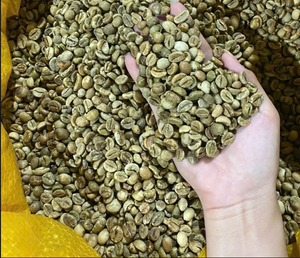 กาแฟโรบัสต้าพรีเมียม ต้นกำเนิดจากเวียดนาม คั่วอ่อน รสขม เกรดพรีเมียม สำหรับใช้ในอุตสาหกรรมอาหารและเครื่องดื่ม - Product Image 3