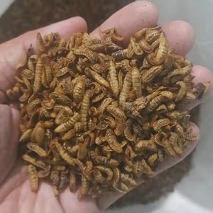 Vente en gros LARVE DE MOUCHE DE SOLDAT NOIR Nourriture de volaille séchée vers de farine séchés du Vietnam - Product Image 1