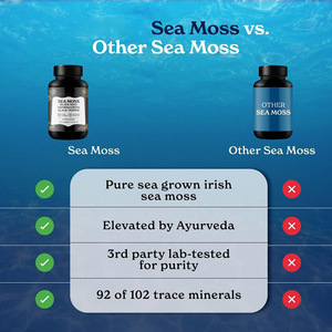 Cápsulas de musgo de mar OEM con aceite de semilla negra Ashwagandha mezcla de cúrcuma Bladderwrack bardana cápsulas todo en 1 - Product Image 3