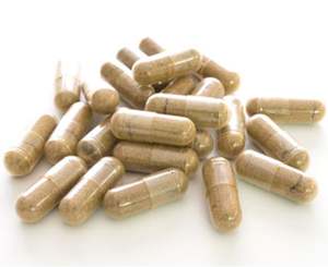 Cápsulas de Extracto de Corteza de Ashoka de Marca Privada OEM/ODM, Extracto por Solvente, Grado Alimenticio, 100% Orgánico, Cultivo Silvestre, Venta al por Mayor - Product Image 1