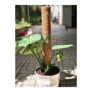 เสาใยมะพร้าวธรรมชาติ - ที่ค้ำยันสำหรับพืชเลื้อยได้ ทนทาน - Product Image 6