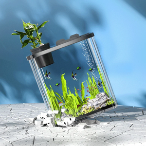 Large Full-Transparent Acrylic Rectangle Fish Tank <b>Set</b> Durable Hydroponic Cup for Guppy & Pleco Species & fishes Large Tank - Product Image 3