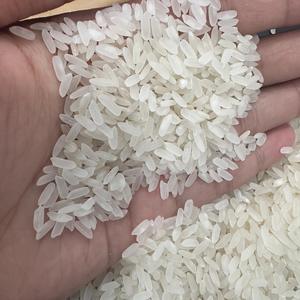 Calrose égyptienne riz à grains moyens de haute qualité séché doux nouvelle culture culture commune Vietnam Camolino riz Riz Arroz Rise ANNA - Product Image 1
