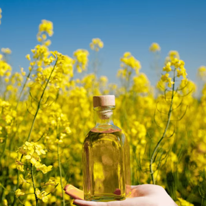 100% Huile de colza de qualité cosmétique pure et naturelle et de qualité supérieure de qualité supérieure disponible pour une utilisation en aromathérapie en Inde - Product Image 1