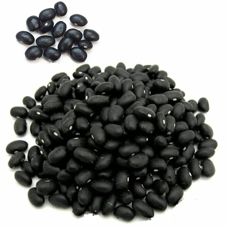 Black Kidney Beans 25kg 50kg - Buy Speckled Kidney Beans, Mexican Black Beans