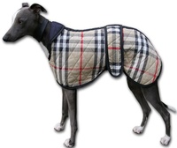 Vêtements pour chiens en coton personnalisés, modernes, d'été, de luxe, de créateur, en gros, accessoires, fabricant Kanpur Inde