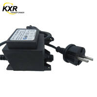Transformador de Iluminación Exterior de Alta Eficiencia con Certificación CE ROHS, Cable de Cobre, Bajo Voltaje 240V 12V/24V, Clasificación IP68, Garantía de 2 Años