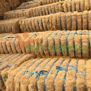 FIBRE DE NOIX DE COCO DU VIET FARGIMEX/FIBRE DE NOIX DE COCO DU VIETNAM en VENTE - Product Image 1