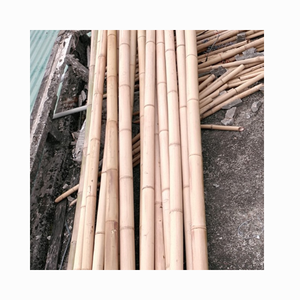 Bâton de canne droit en bambou séché pour la fabrication de clôtures ou de constructions en bambou ou utilisé dans l'agriculture Fabriqué au Vietnam - Product Image 2