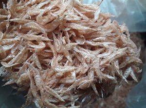 Camarones Bebé Secos para Exportación Directa |   Planta de Procesamiento en Vietnam - Product Image 3