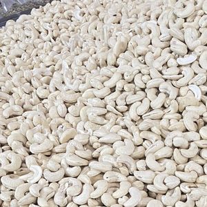 แซนติโกเม็ดมะม่วงหิมพานต์ออร์แกนิกผลิตในเวียดนาม W180 320 240คุณภาพระดับพรีเมียมส่งออกไปยังสหภาพยุโรปตะวันออกกลาง - Product Image 1