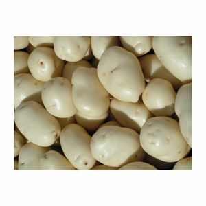 Patatas frescas orgánicas IQF al por mayor 3/8 patatas fritas dulces calidad de exportación para la fabricación de patatas fritas frescas - Product Image 3