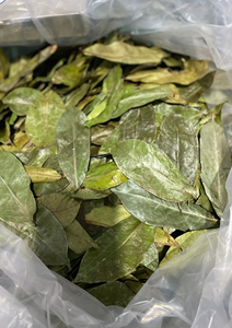 Feuilles de corossol séchées prêtes pour le thé et les suppléments - Product Image 2