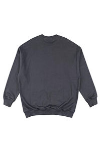 Sweat-shirts à capuche pour hommes en molleton 100% coton, personnalisables en gros, col rond, manches longues, printemps - Product Image 3