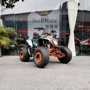 <span class=keywords><strong>Quad</strong></span> Bike à essence en alliage d'aluminium 125cc Moteur 4 temps monocylindre à chaîne quatre roues pour adultes - Product Image 1