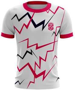 Camiseta Personalizable para Hombre, 180 Gramos, Diseño Sólido, Sublimación, Diseño Casual, Logotipo Bordado en la Parte Delantera, 100% Poliéster - Product Image 4