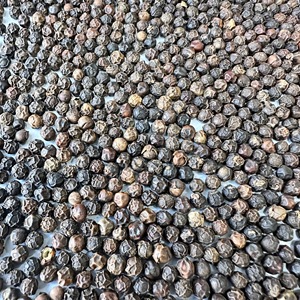 Prix d'usine Vietnam Poivre noir en grains épais de 5 mm, très épicé, en vrac, épices individuelles, herbe séchée brute exportée ANNA DO VILACONIC - Product Image 5