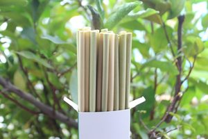 Pailles à gazon séchées écologiques Pailles à boire jetables à usage alimentaire uniquement Exclusif pour le Vietnam - Product Image 4